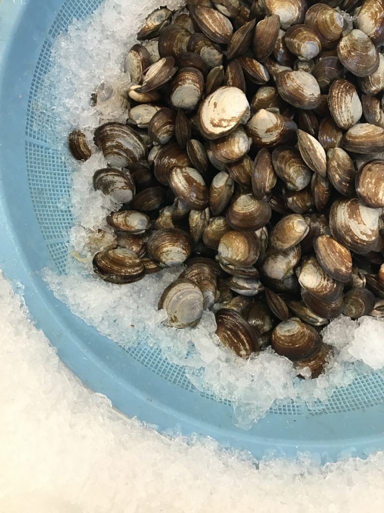 VANCOUVER granville island market clams palourdes