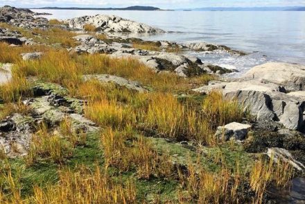Kamouraska