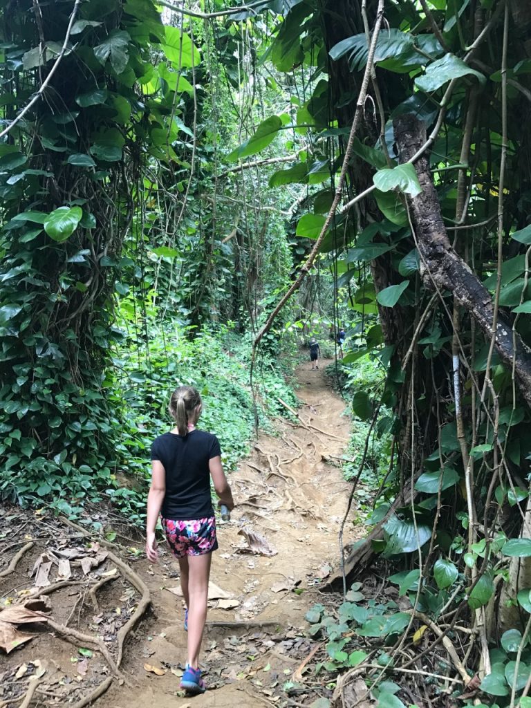 HONOLULU OAHU randonnée hike MANOA FALLS TRAIL fillette