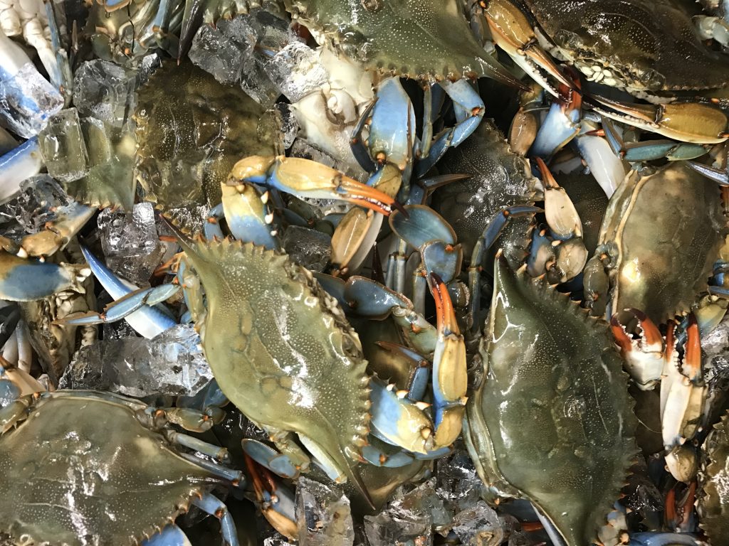 HONOLULU chinatown blue crab -crabe bleu