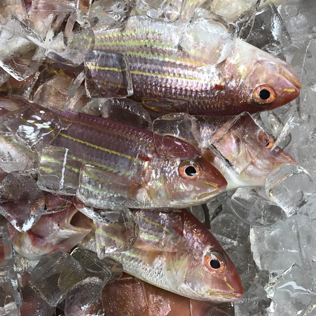 HONOLULU chinatown poisson rosé pink fish in ice
