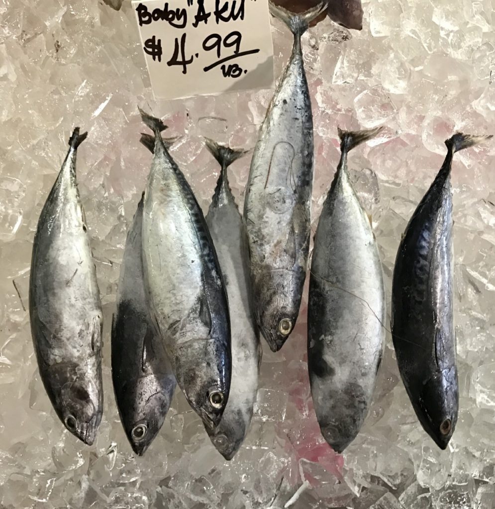 HONOULU CHINATOWN fish market baby aku 4.99 lb