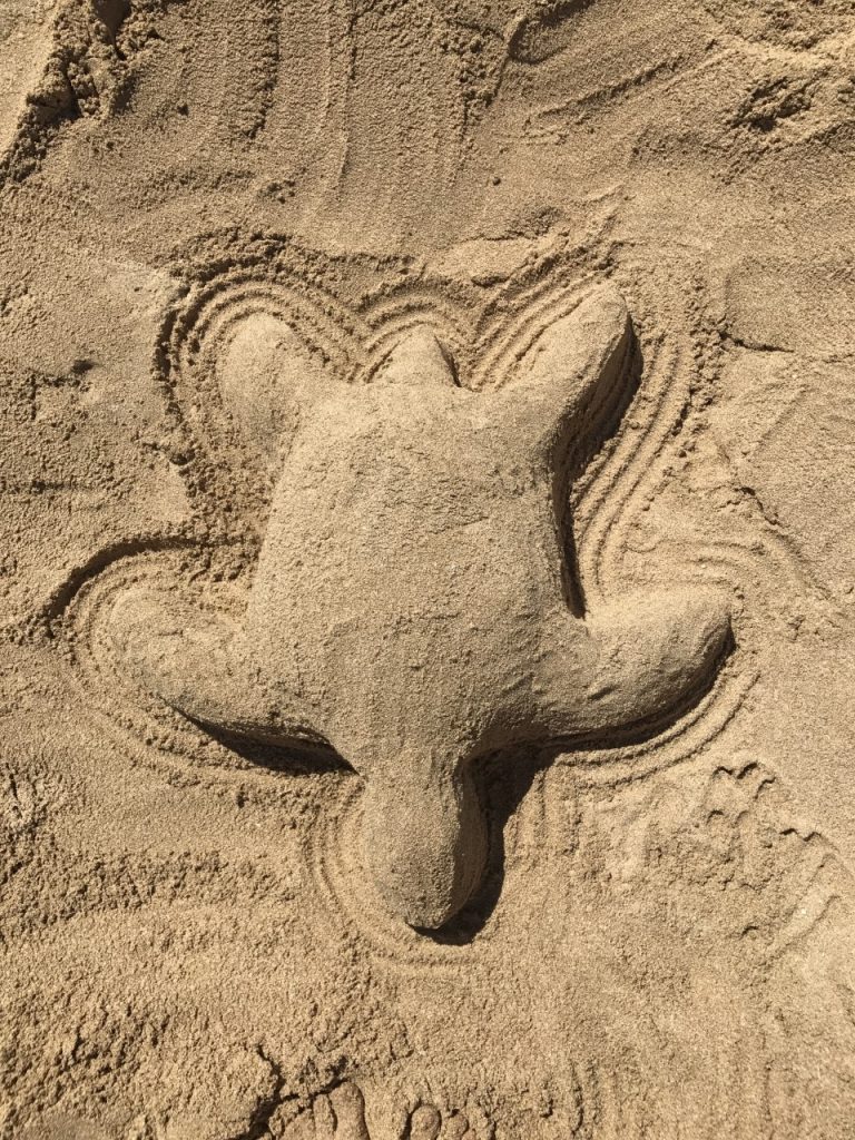 HAWAII sand turtle by Stephanie Reniere