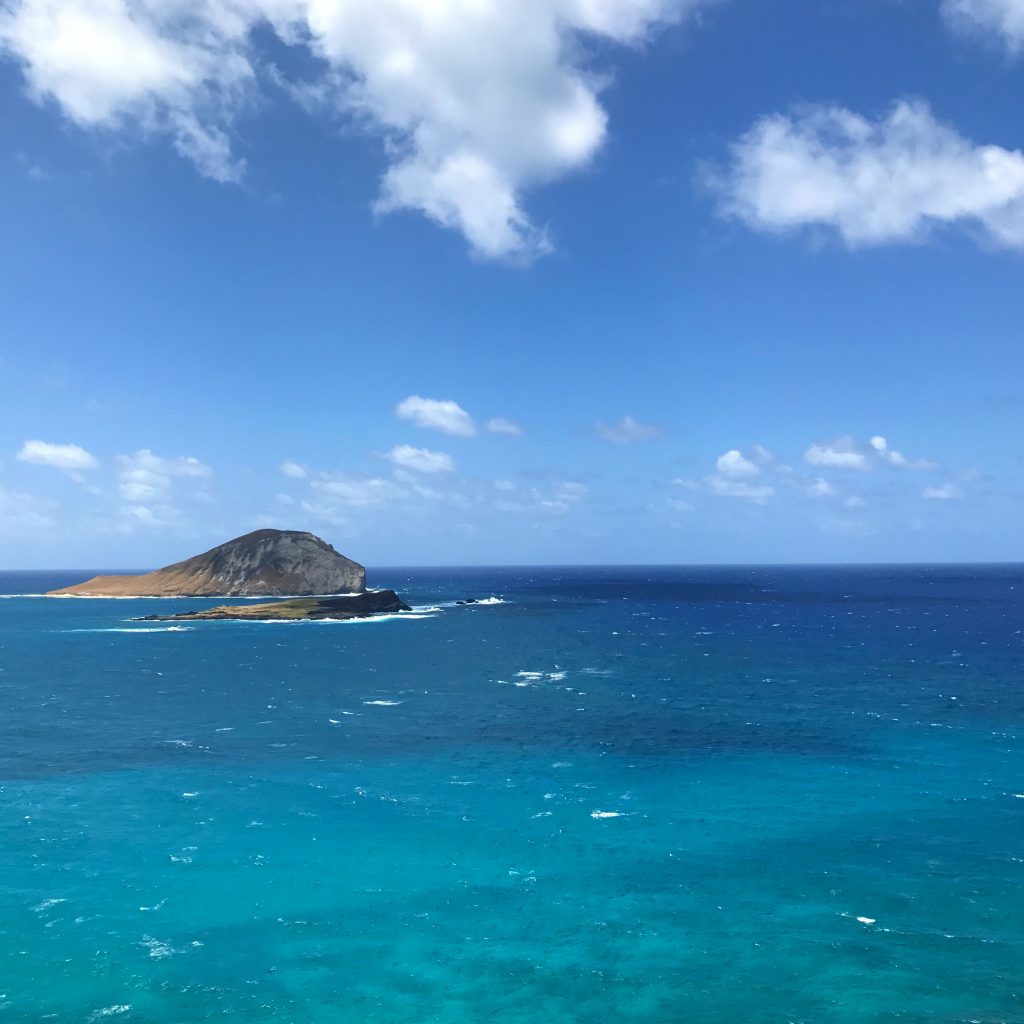 blues Hawaii